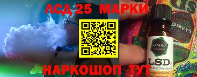 индика Гагарин