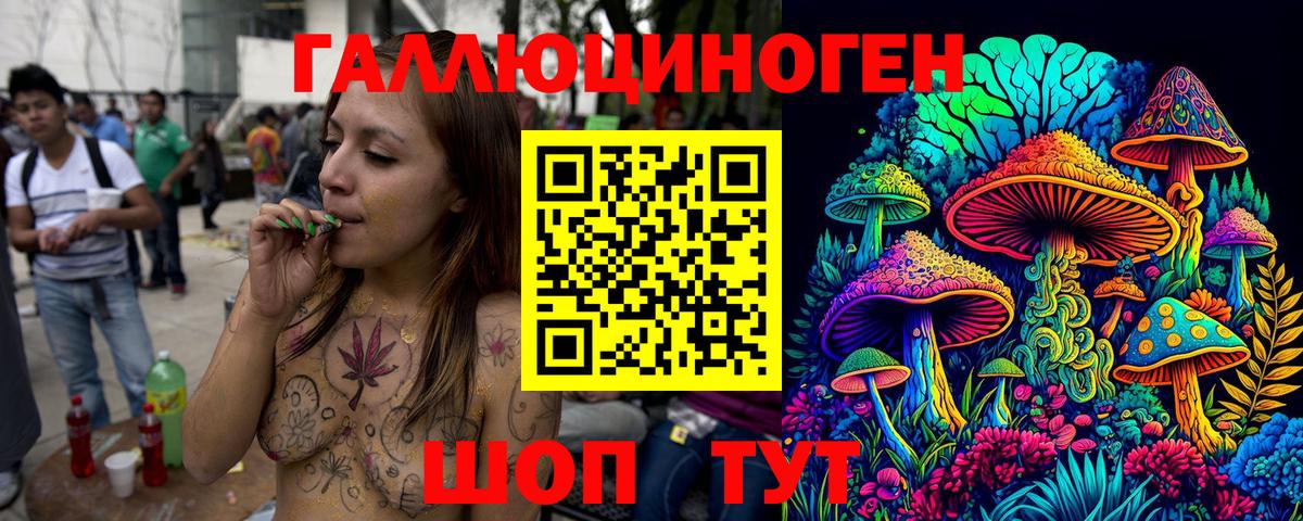Галлюциногенные грибы ЛСД  Вход с VPN  Новоалтайск  Галлюциногенные грибы GOLDEN TEACHER 